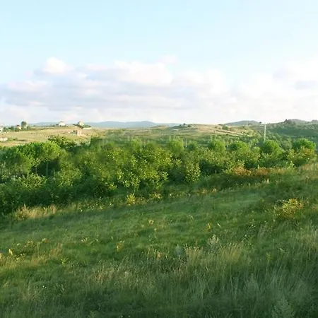 Pine Garden 4* Ağva