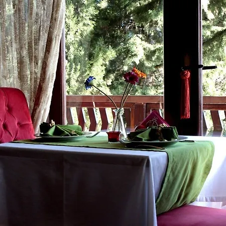 Aparthotel Pine Garden 4*